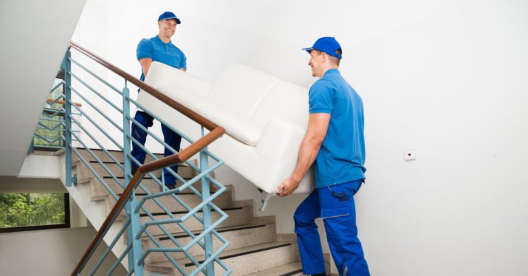 furniture removalists