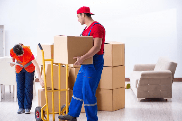 Interstate Removalists