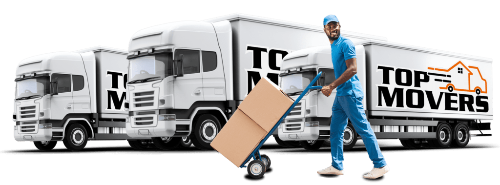 Adelaide Removalists