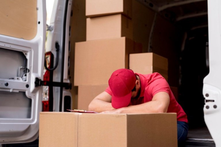 professional removalists